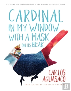 Bertrand.pt - Cardinal In My Window With A Mask On Its Beak
