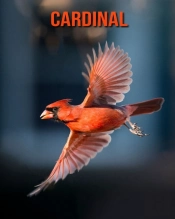 Cardinal