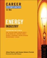 Career Opportunities In The Energy Industry
