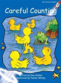 Careful Counting
