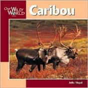 Caribou