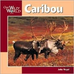 Bertrand.pt - Caribou