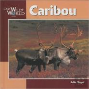 Caribou