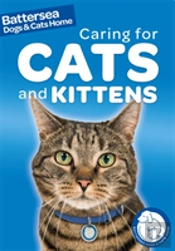 Caring For Cats And Kittens
