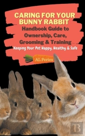 Caring For Your Bunny Rabbit