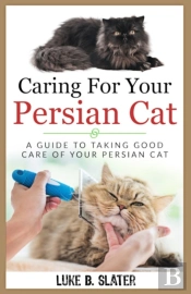 Caring For Your Persian Cat