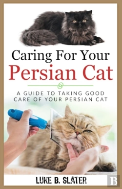 Bertrand.pt - Caring For Your Persian Cat