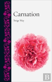 Carnation
