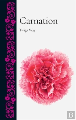 Bertrand.pt - Carnation