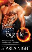 Carnelian Dragons