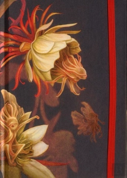 Bertrand.pt - Carnet A Elastique L'Herbier Des Fees