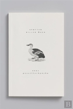 Bertrand.pt - Carnet Animal Aquatique ; Canard À Bec Tacheté
