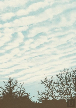 Bertrand.pt - Carnet : Atlas Des Nuages