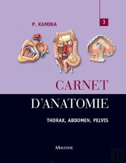 Bertrand.pt - Carnet D'Anatomie T.3 ; Thorax, Abdomen, Pelvis
