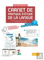 Carnet De Pratique D'Étude De La Langue ; Voie Professionnelle Niveau 1 ; Livre Élève