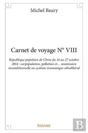 Carnet De Voyage N° Viii
