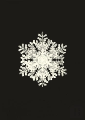 Carnet - Flocons De Neige
