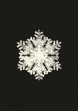 Bertrand.pt - Carnet - Flocons De Neige