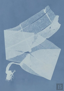 Bertrand.pt - Carnet  : Herbier Des Mers