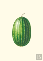 Carnet : Jardin Potager Et Jardin Fruitier