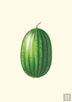 Bertrand.pt - Carnet : Jardin Potager Et Jardin Fruitier