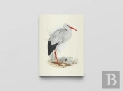 Carnet Notes & Lecture Bnf : Oiseaux D'Europe