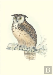 Carnet Notes & Lecture - Oiseaux De L Himalaya