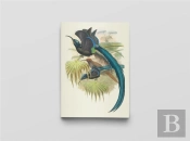 Carnet Notes & Lecture : Oiseaux De Nouvelle-Guinée