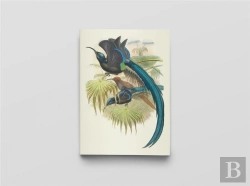 Bertrand.pt - Carnet Notes & Lecture : Oiseaux De Nouvelle-Guinée