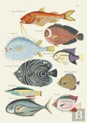 Carnet : Poissons, Écrevisses Et Crabes