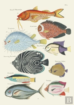 Bertrand.pt - Carnet : Poissons, Écrevisses Et Crabes