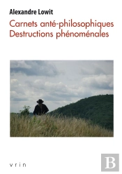 Carnets Anté-Philosophiques : Destructions Phénoménales