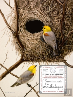 Bertrand.pt - Carnets Secrets D'Un Ornithologue