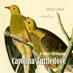 Bertrand.pt - Carolina Turtledove And Other Birdsongs