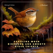 Carolina Wren Birdsong And Smooth River Trickle