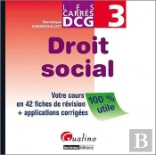 Carres Dcg 3 - Droit Social