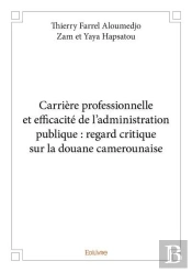 Carriere Professionnelle Et Efficacite De L'Administration Publique : Regard Critique Sur La Douane