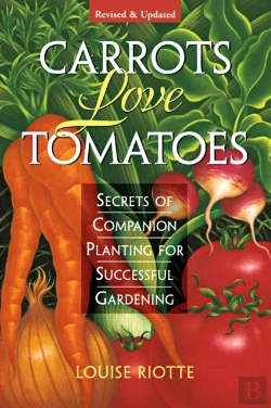 Bertrand.pt - Carrots Love Tomatoes