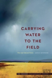 Carrying Water To The Field