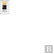 Carta A La Societat Catalana Sobre La