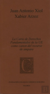 Carta De Derechos Fundamentales De La Ue Como Canon Del Recurso De Amparo