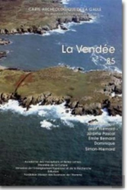 Bertrand.pt - Carte Archéologique De La Gaule Tome 85 : La Vendée