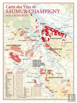 Bertrand.pt - Carte Des Vins De Saumur Champigny Et Du Saumurois