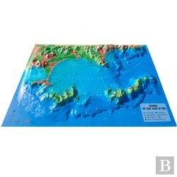 Bertrand.pt - Carte En Relief De Giens Et Les Îles D'Or