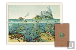 Bertrand.pt - Carte ; Nature En Eaux Profondes
