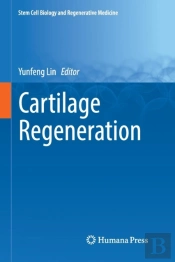 Cartilage Regeneration