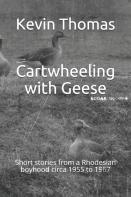 Cartwheeling With Geese