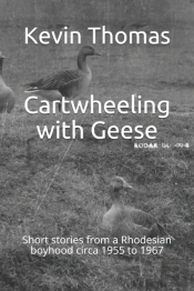 Cartwheeling With Geese