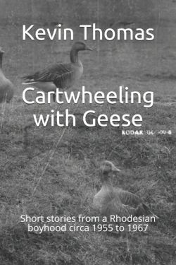 Bertrand.pt - Cartwheeling With Geese