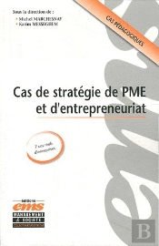 Cas De Strategie De Pme Et D'Entrepreneuriat